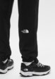 Брюки спортивные The North Face4  - превью