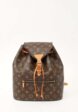 Louis Vuitton Montsouris1  - превью