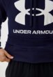 Худи Under Armour4  - превью