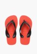 Сланцы Havaianas4  - превью