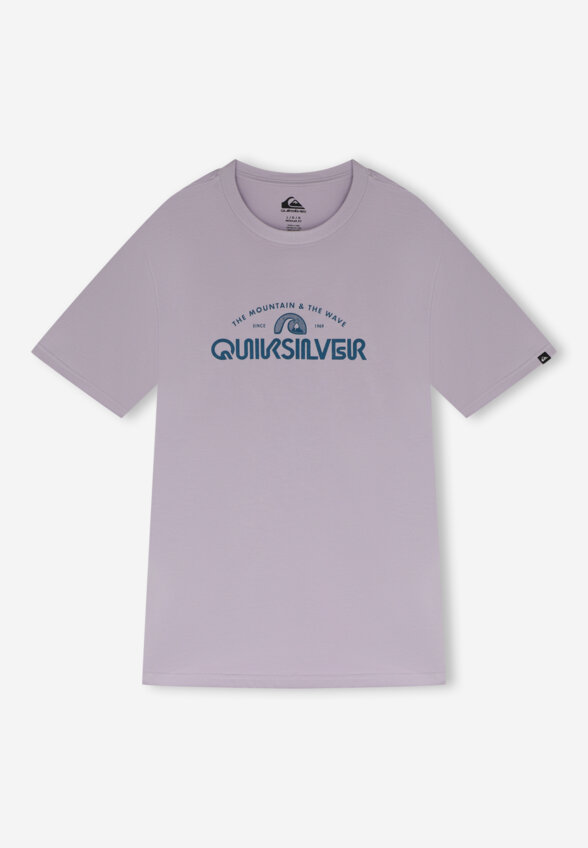 Футболка мужская Quiksilver Ev Vista, Фиолетовый