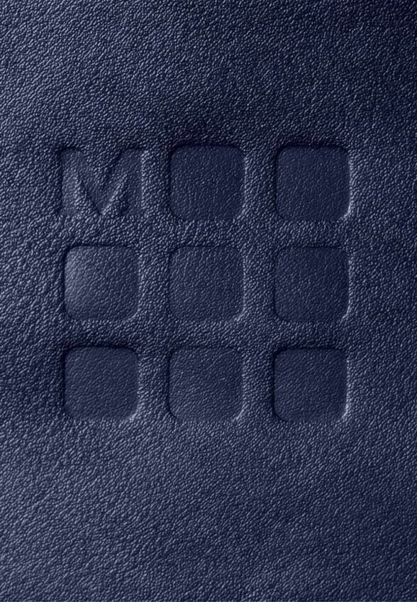 Рюкзак Moleskine