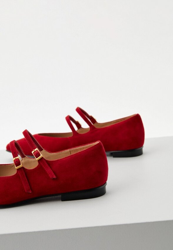 Балетки Ekonika Premium