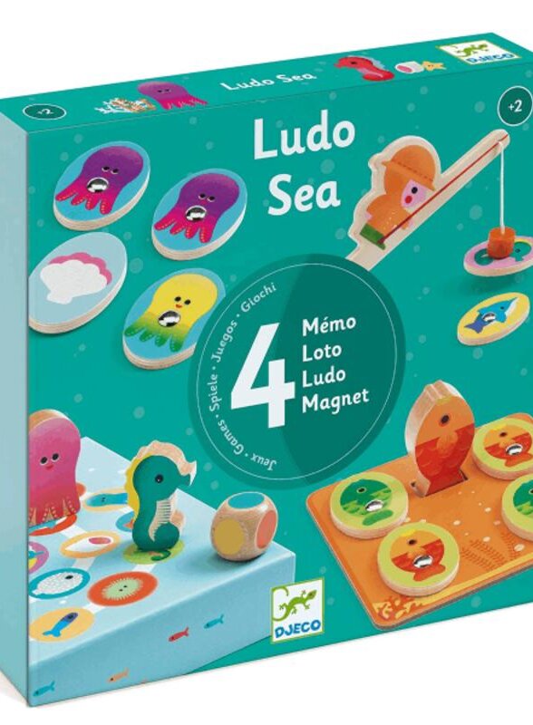 Развивающая игра DJECO 