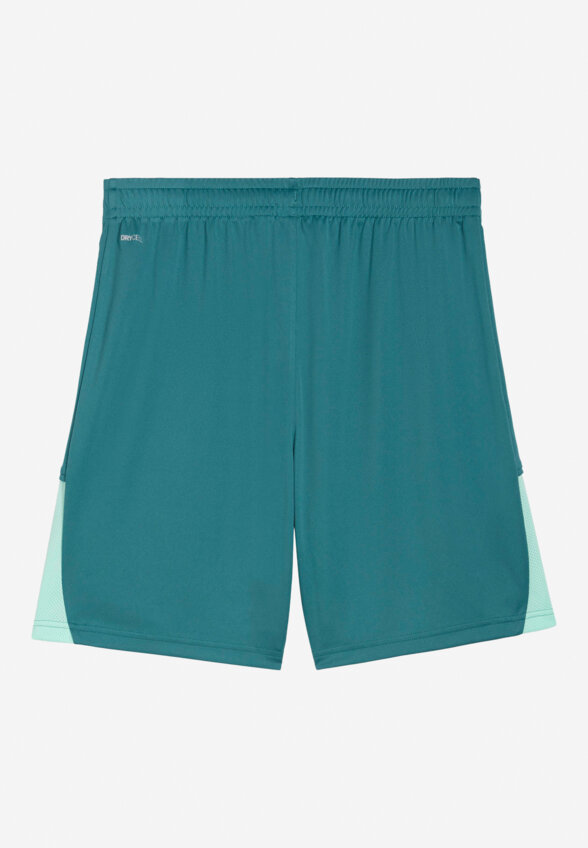 Шорты мужские PUMA Teamliga26, Зеленый