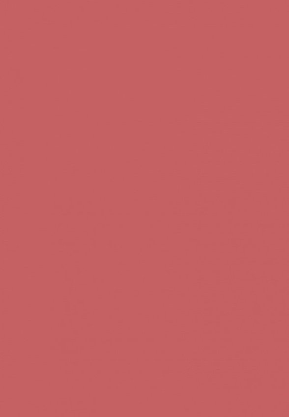 Помада жидкая Focallure