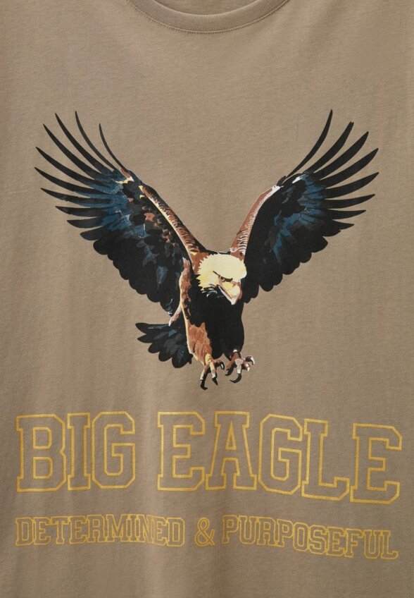 Футболка Mr Bigman