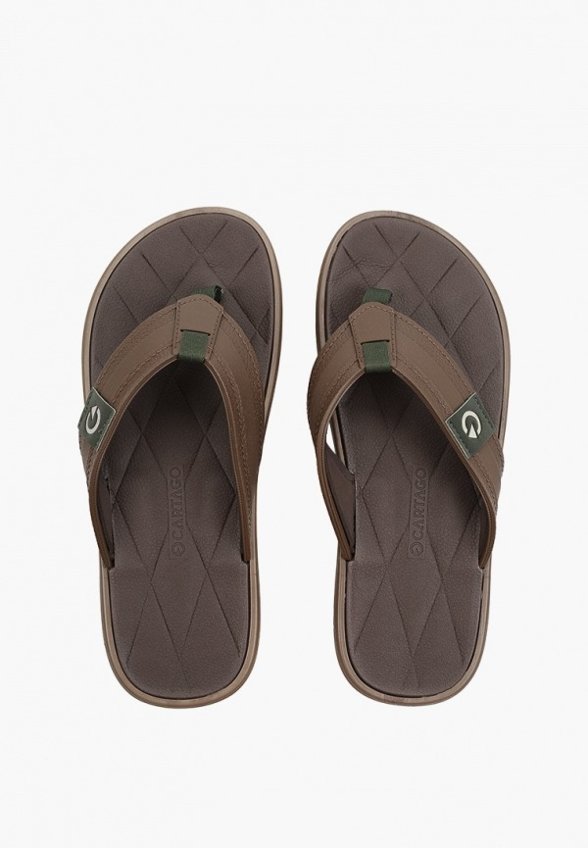 Сланцы Cartago