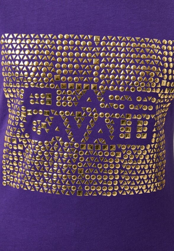 Футболка Cavalli Class