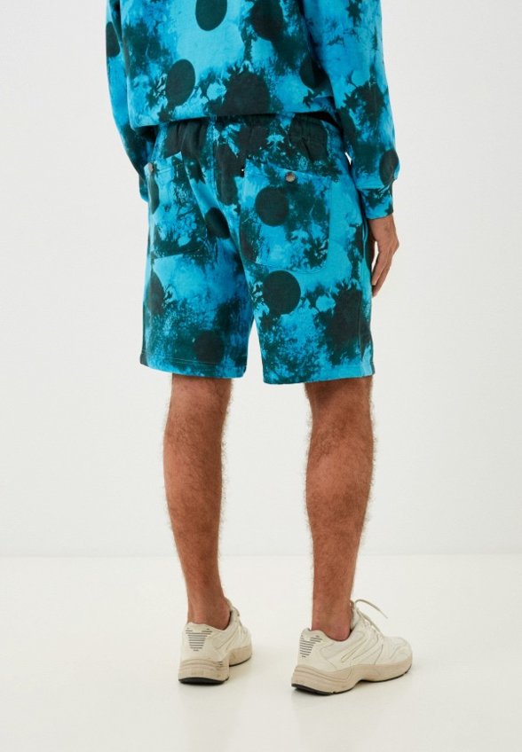 Шорты спортивные The Hundreds