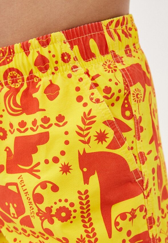 Шорты для плавания Великоросс