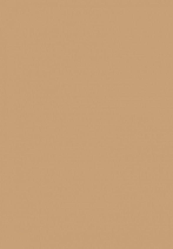 Тональный крем Shik