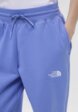 Брюки спортивные The North Face4  - превью