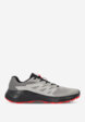Кроссовки мужские Salomon Alphaglide, Серый3  - превью