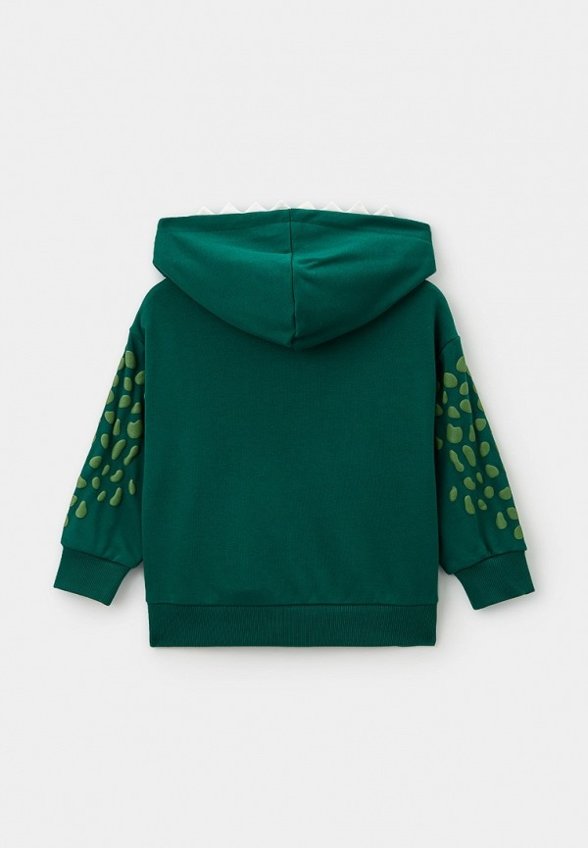 Толстовка Acoola