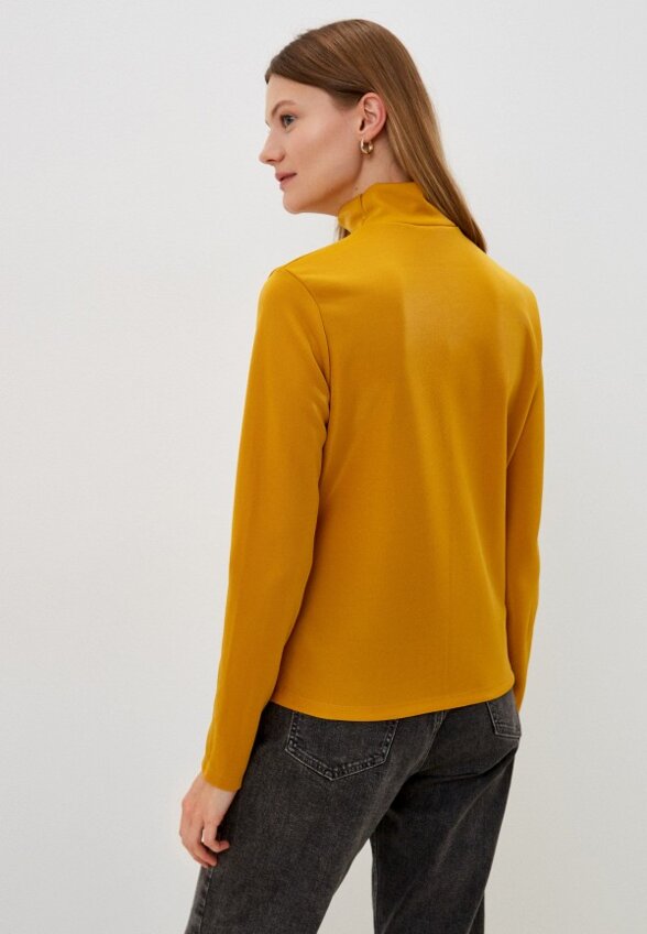 Водолазка Lastochka