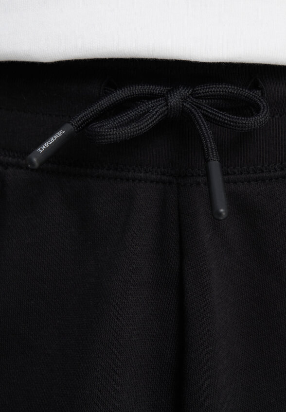Брюки мужские The North Face Essential, Черный