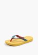 Сланцы Havaianas2  - превью