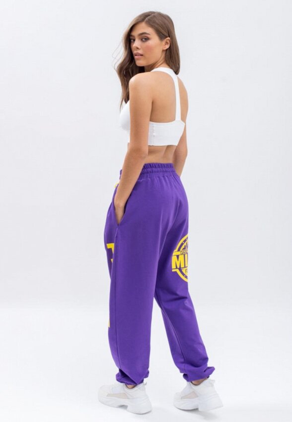 Брюки спортивные Profit