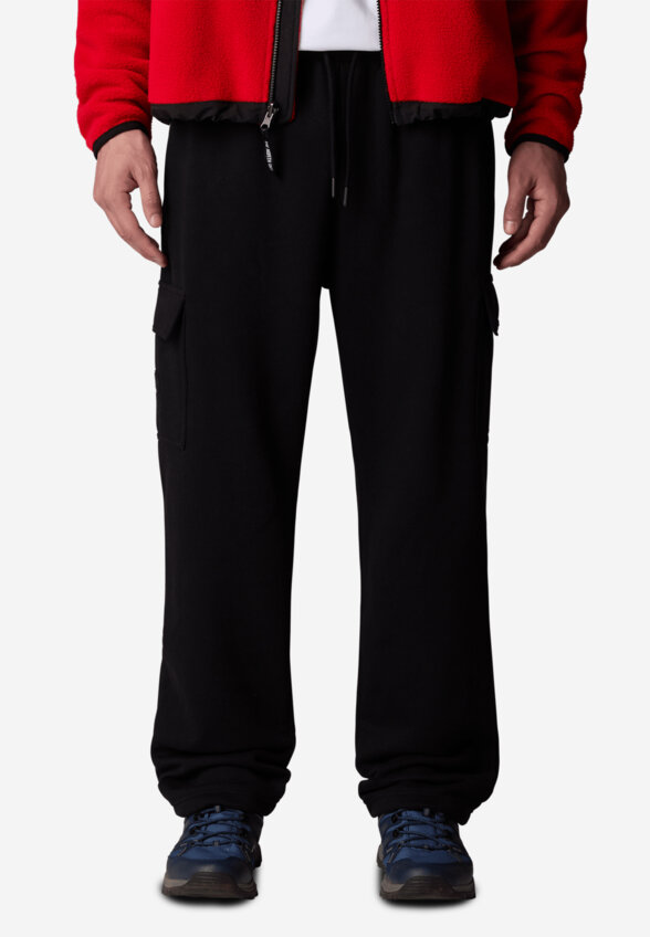 Брюки мужские The North Face Cargo Jogger, Черный