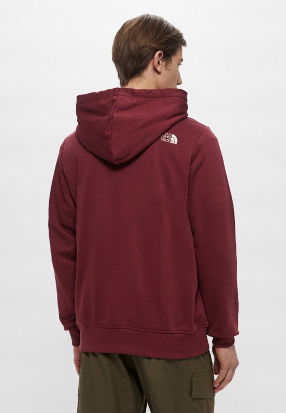 Худи The North Face