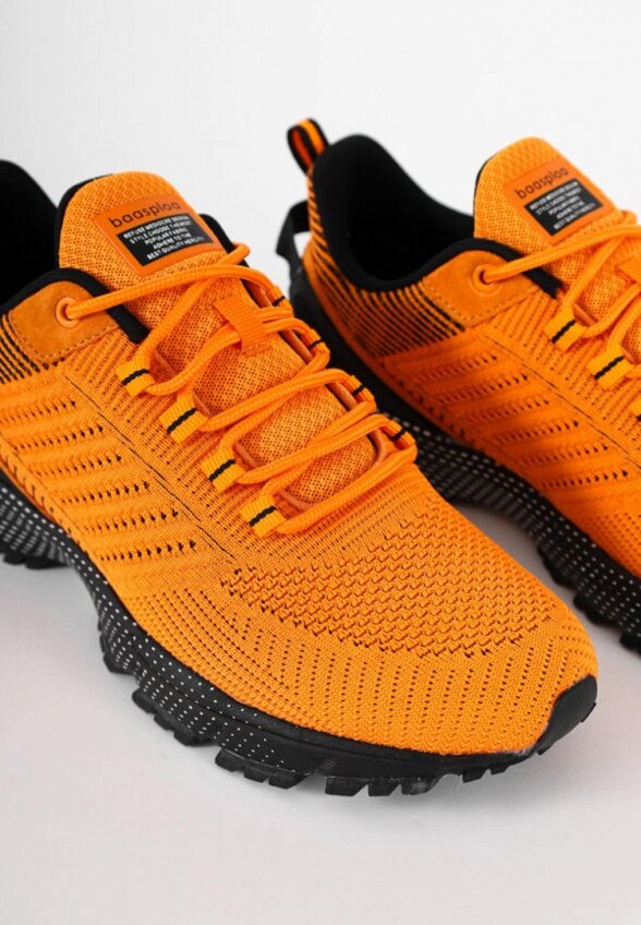 Кроссовки Baasploa