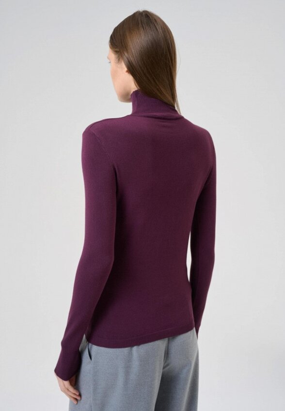 Водолазка Cepheya