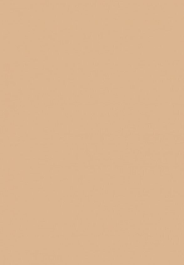 Пудра компактная Limoni