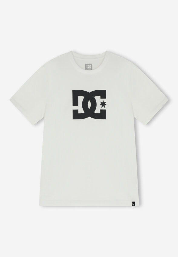 Футболка мужская DC Shoes Star, Белый