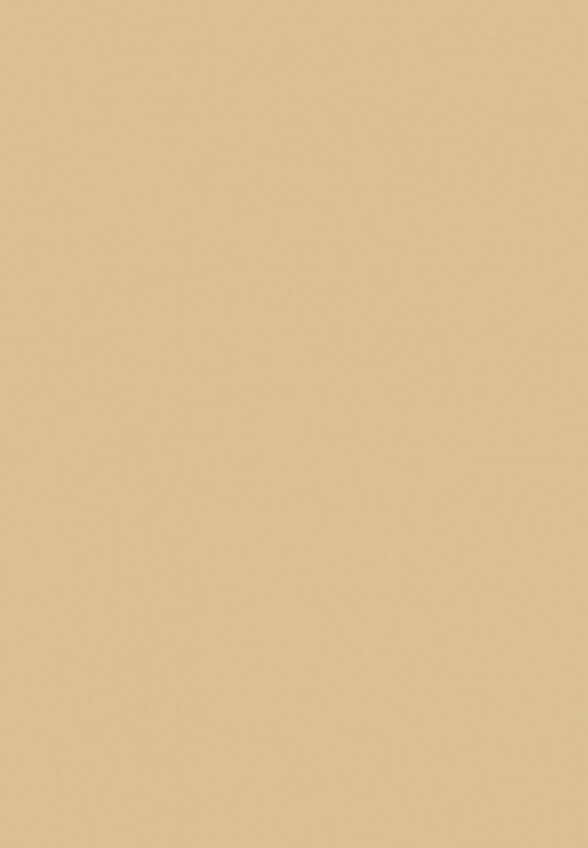 Корректор Limoni