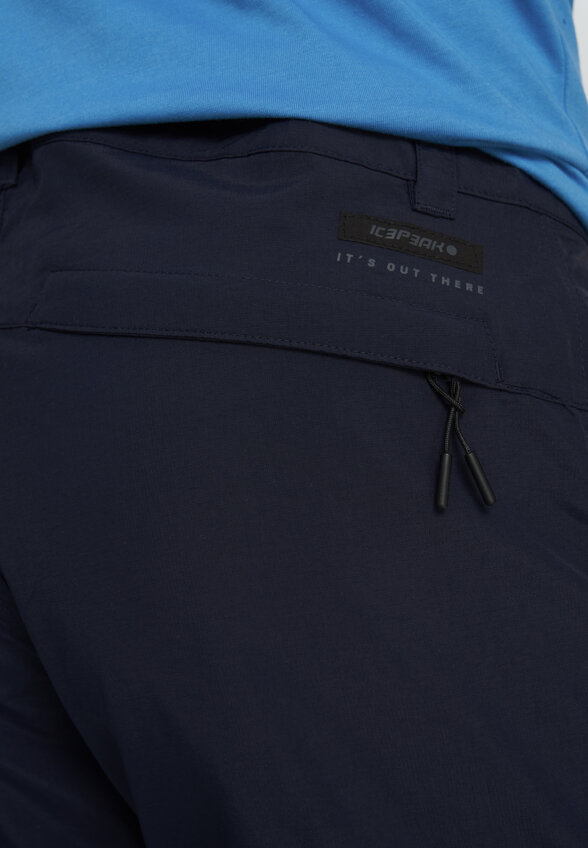 Брюки мужские IcePeak Archer, Синий
