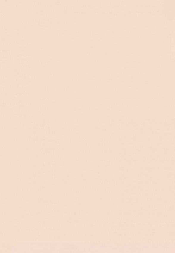 Пудра компактная Zeesea