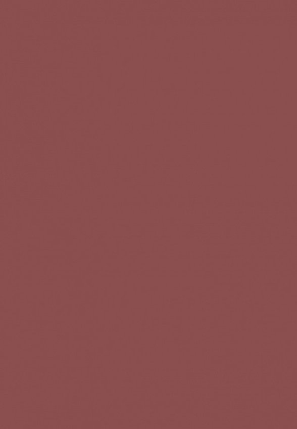 Помада жидкая Stellary