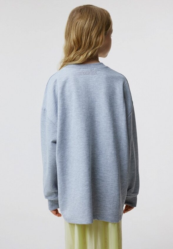 Свитшот Stormies