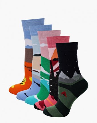 Носки 5 пар bb socks женщинам