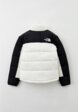 Куртка утепленная The North Face2  - превью