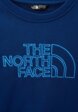 Свитшот The North Face3  - превью
