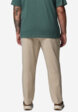 Брюки мужские Columbia Sage Peak Chino Pant, Бежевый2  - превью