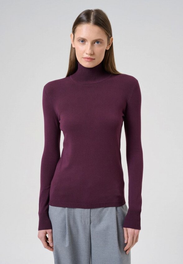 Водолазка Cepheya