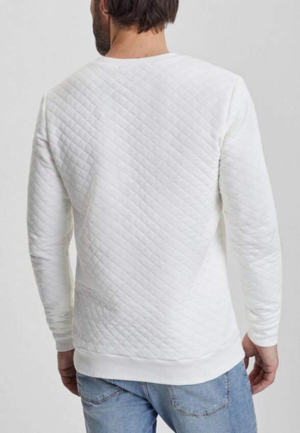 Свитшот Envylab