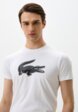 Футболка Lacoste3  - превью