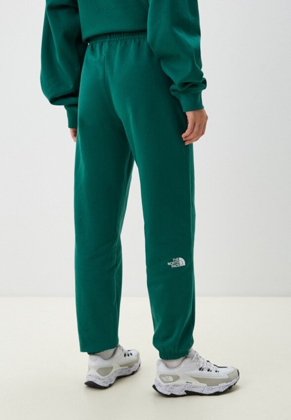 Брюки спортивные The North Face