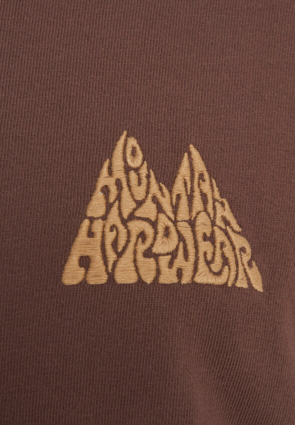 Футболка мужская Mountain Hardwear Mountains Collab Short Sleeve, Коричневый