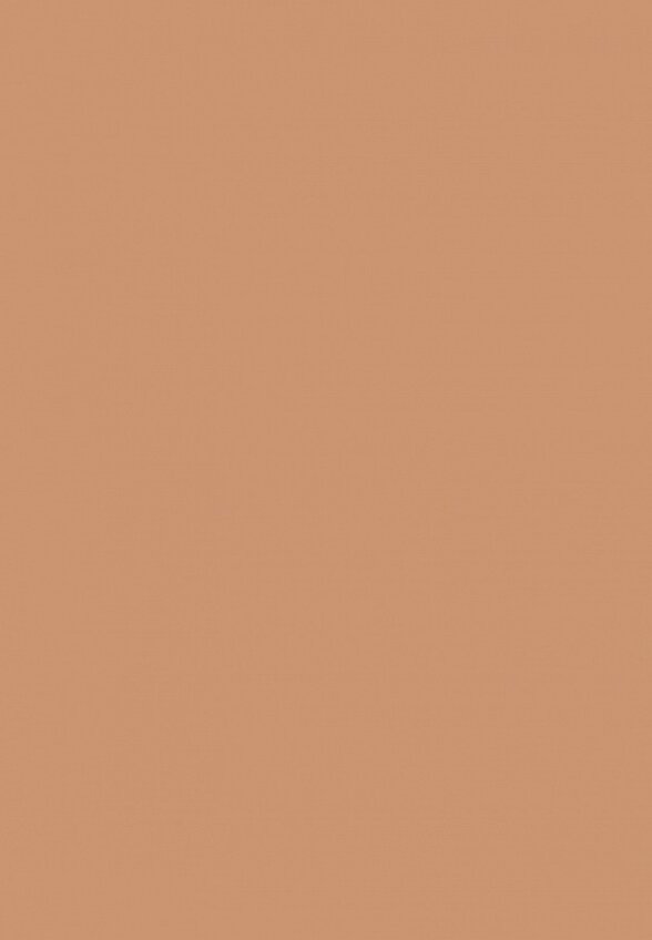 Кушон для лица d'Alba