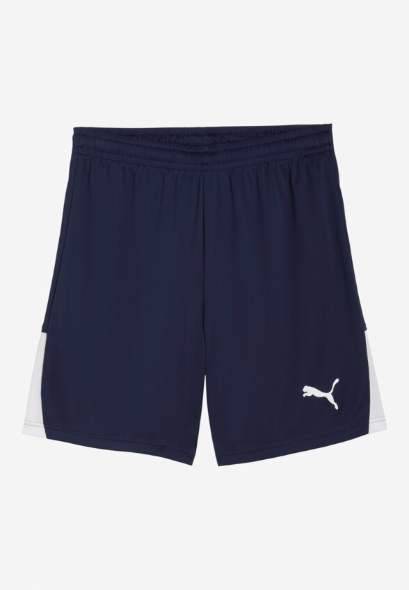 Шорты мужские PUMA Teamliga26, Синий