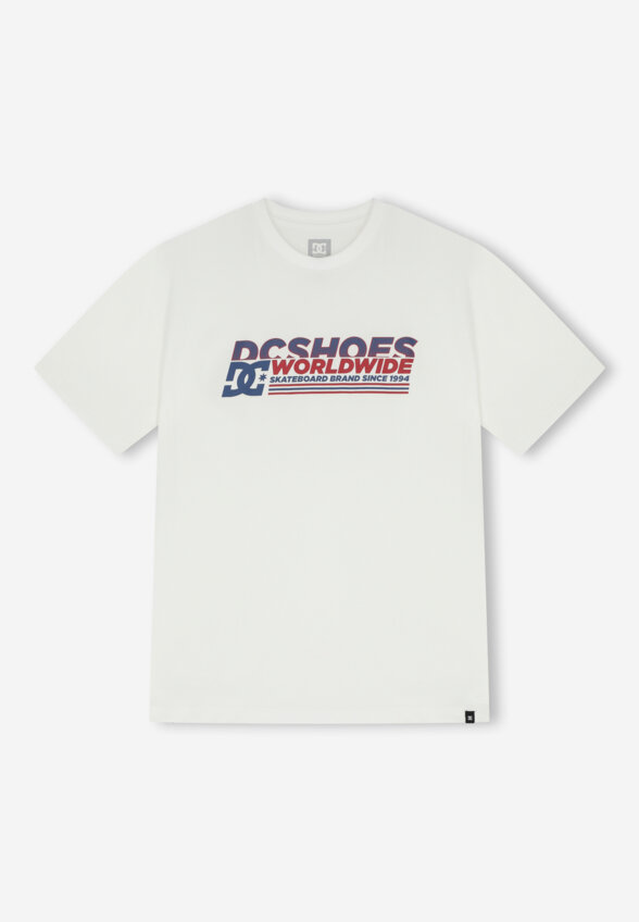 Футболка мужская DC Shoes Queltra, Белый