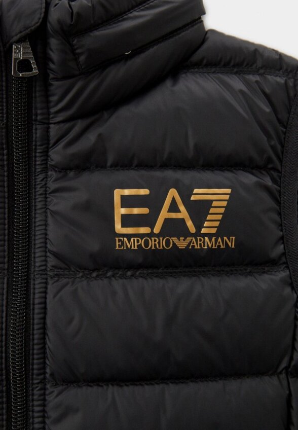 Жилет утепленный EA7