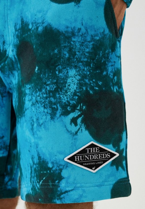 Шорты спортивные The Hundreds