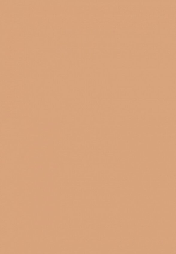 Пудра компактная Deborah