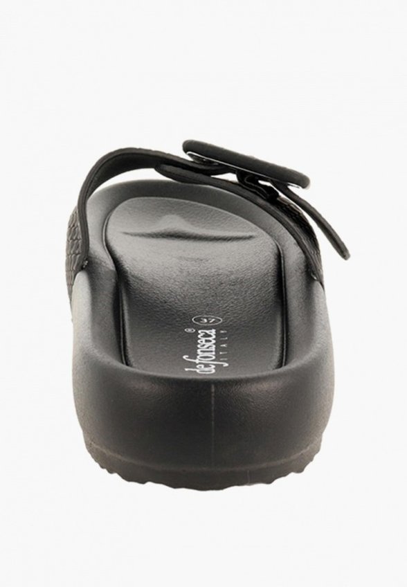 Сланцы De Fonseca